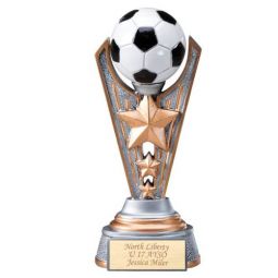 Soccer Victory Award